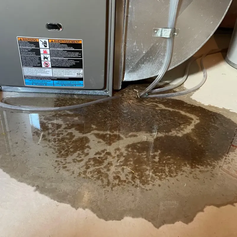 Appliance Leak Cleanup in Waipahu, HI