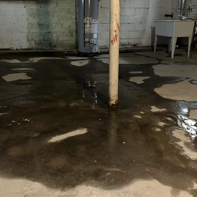 Emergency Water Extraction And Removal in Waipahu, HI